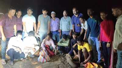 Wildlife Trafficking Action: महाराष्ट्र-छत्तीसगढ़-तेलंगाना में संयुक्त कार्रवाई, बाघ की 43 संदिग्ध हड्डियां बरामद; 6 तस्कर गिरफ्तार
