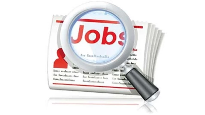 Khairagarh Job Fair: छत्तीसगढ़ में 660 से अधिक पदों पर भर्ती का मौका, 13 अक्टूबर को लगेगा रोजगार मेला