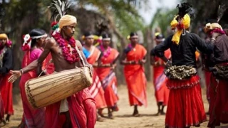 Chhattisgarh Rajyotsav 2026: नवा रायपुर में मचेगी धूम! वायुसेना के एयर शो के साथ अभिजीत भट्टाचार्य और पलक मुच्छाल बिखेरेंगे सुरीला जादू