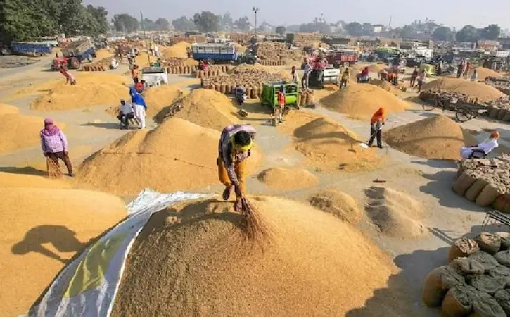 Chhattisgarh Dhan Kharidi Rules Changed: छत्तीसगढ़ में धान बेचने के नियमों में बड़ा बदलाव, अब सिर्फ OTP से नहीं चलेगा काम...
