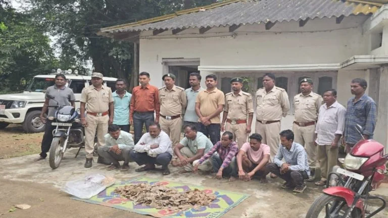 Pangolin Smuggling Busted : पैंगोलिन तस्करी का बड़ा खुलासा, 14 किलो खाल और शल्क के साथ 6 आरोपी गिरफ्तार